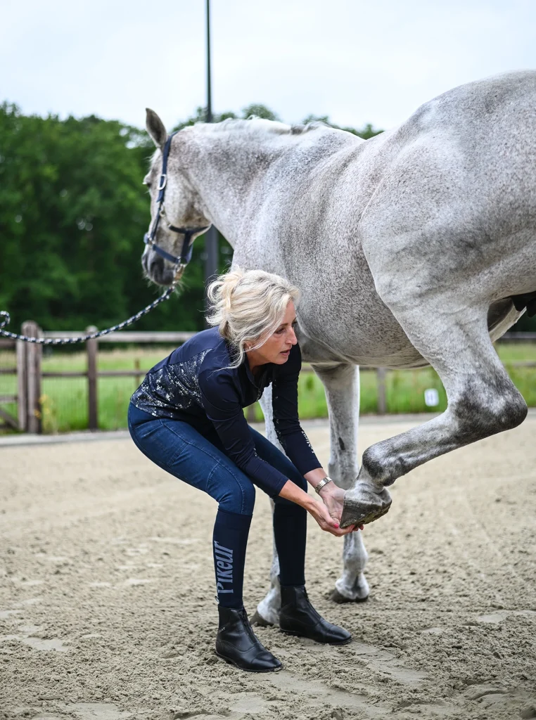 Sabrina Barmentloo van 'Osteopaat voor je Paard' voert een inspectie uit op het been van een wit paard. Deze afbeelding illustreert een pagina over fytotherapie-consulten voor de gezondheid van paarden, waarbij natuurlijke kruiden en behandelingen worden toegepast om het welzijn van paarden te ondersteunen.