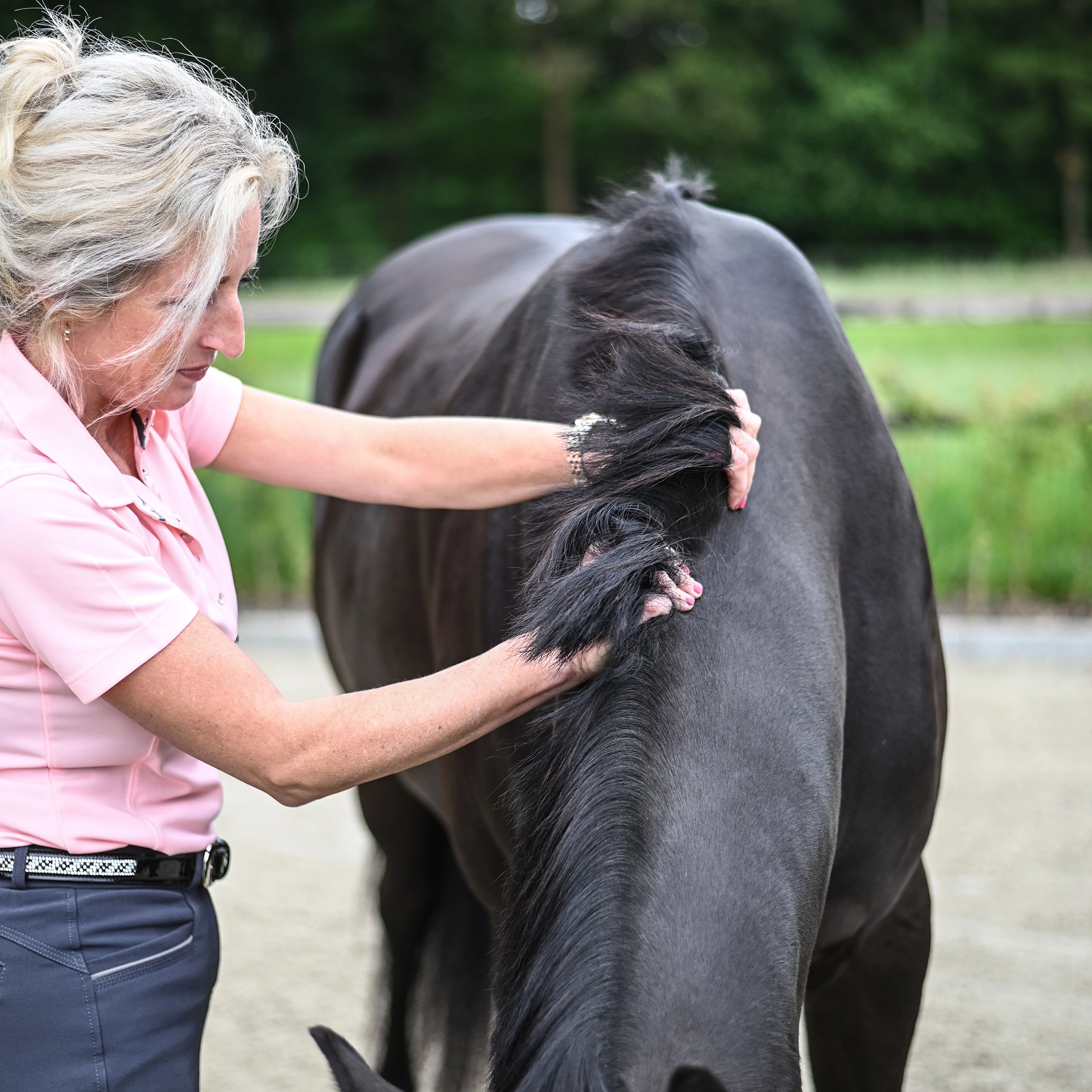 Sabrina Barmentloo van 'Osteopaat voor je Paard' voert een grondige inspectie uit op de manen van een zwart paard als onderdeel van de stappen in een osteopathische behandeling. De afbeelding illustreert de zorgvuldige aanpak en verschillende stappen die betrokken zijn bij een osteopathische behandeling voor paarden.