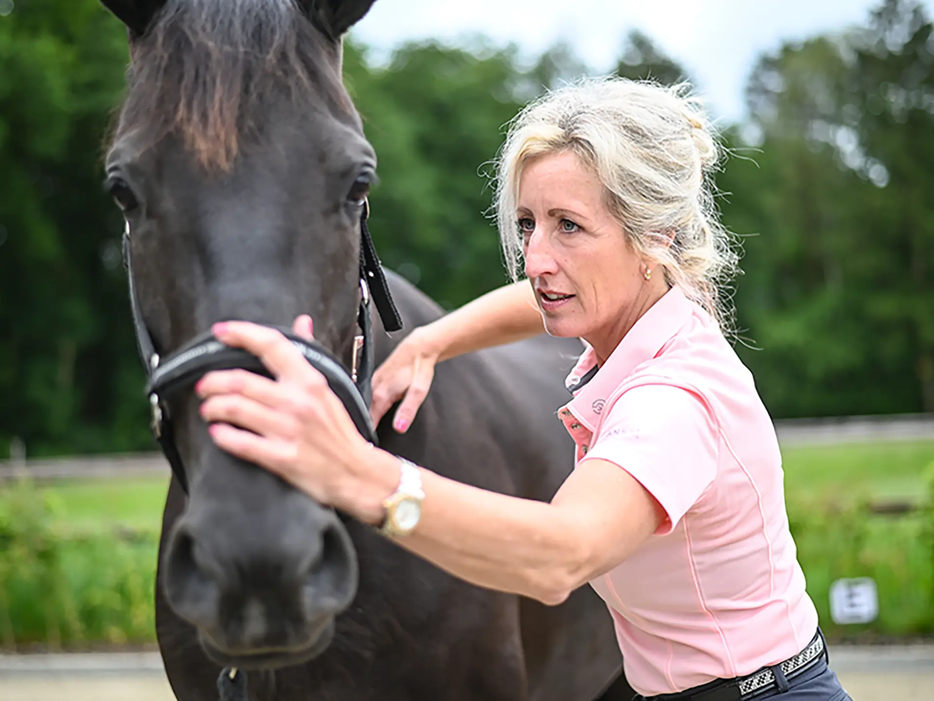Sabrina Barmentloo van 'Osteopaat voor je Paard' voert een zorgvuldige en zachte behandeling uit op het hoofd van een zwart paard. De afbeelding benadrukt hoe het paard geniet van een pijnloze en ontspannende behandeling, wat centraal staat in de aanpak van 'Osteopaat voor je Paard'.