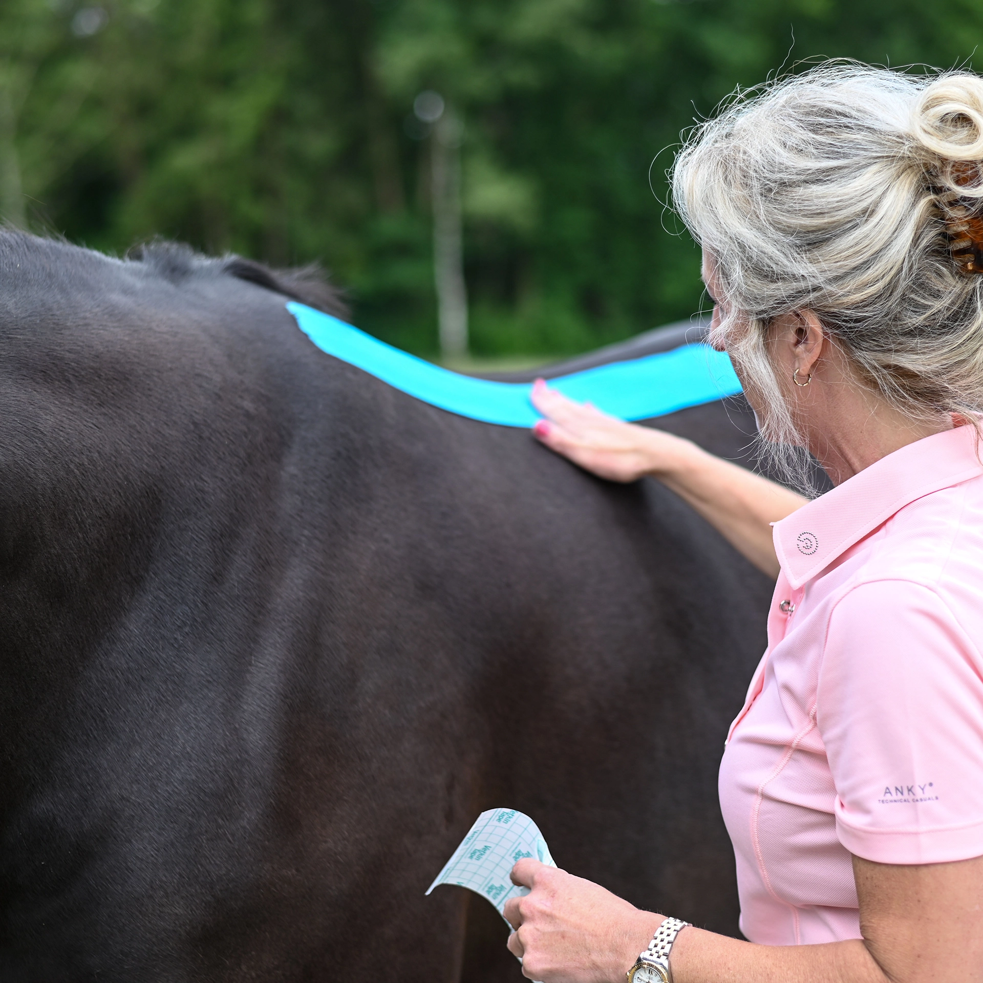 Sabrina Barmentloo van 'Osteopaat voor je Paard' brengt blauwe kinesiotape aan op de rug van een zwart paard na een osteopathische behandeling. Deze afbeelding illustreert de resultaten van een behandeling, waaronder pijnvermindering, verbeterde circulatie en mobiliteit.