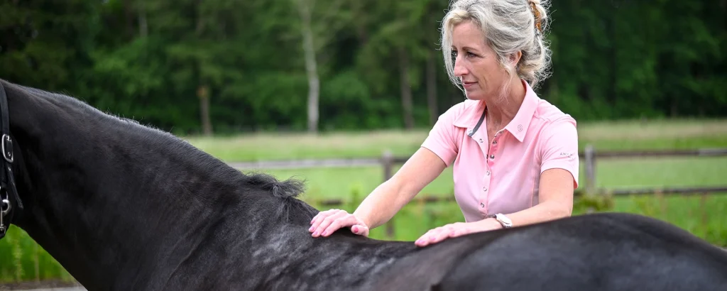 Sabrina Barmentloo, osteopaat voor paarden bij 'Osteopaat voor je Paard', voert een rugbehandeling uit op een zwart paard in een serene buitenomgeving. Haar geconcentreerde blik en zachte handbewegingen weerspiegelen haar toewijding aan paardenosteopathie en het welzijn van paarden.